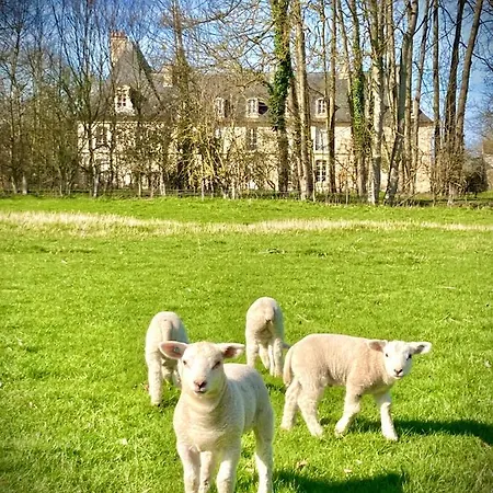 ô Saisons, ô Châteaux