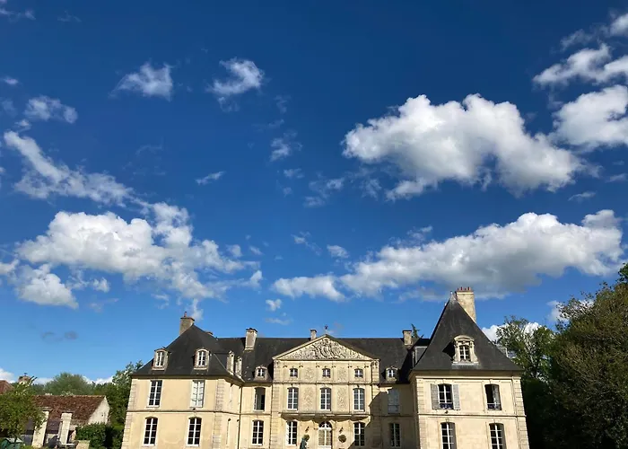 Chateau De Cesny-aux-Vignes
